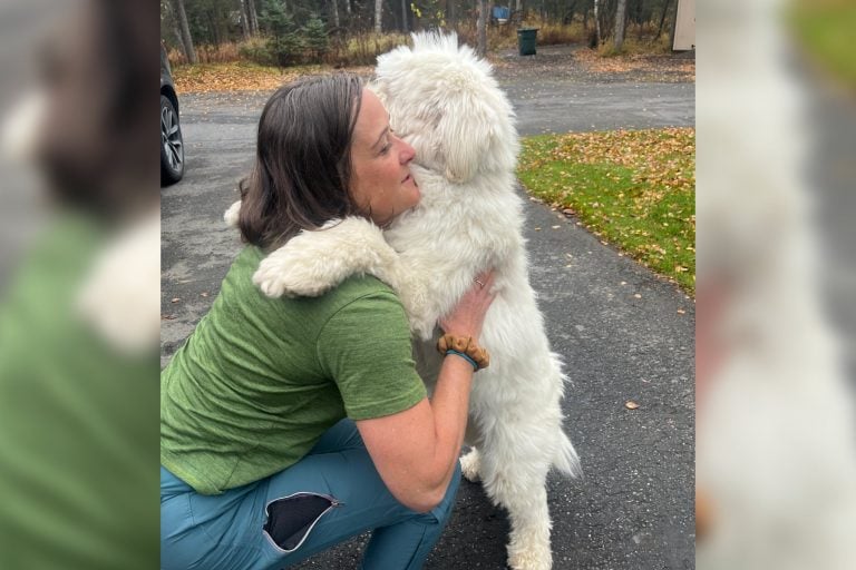 Dog survives Alaska avalanche, found safe days later